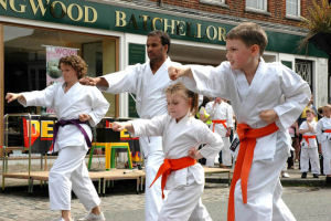 Wado Ryu Karate Classes