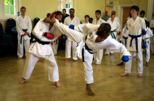 Wado Ryu UK National Squad Training at Farnham in 2011