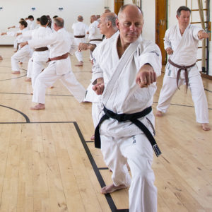 Wado-Ryu Karate Do Ju-Jutsu Kempo beginners karate classes in Aldershot, Farnham, Guildford & Haslemere