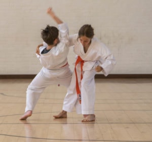 Ladies karate classes at Guildford, Aldershot, Haslemere and Farnham