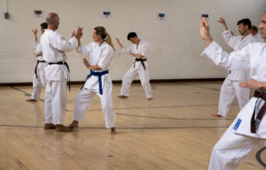 Wado-Ryu Karate Do Ju-Jutsu Kempo martial arts classes in Surrey and Hampshire