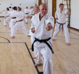 Wado-Ryu Karate martial arts classes in Surrey and Hampshire