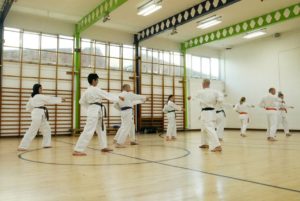 Guilford Karate Academy September 2017