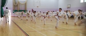 surreykarate