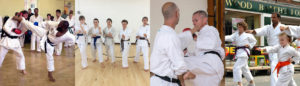 About Surrey Karate Academy Club