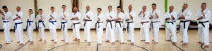 Surrey Karate - Traditional karate classes in Aldershot, Farnham, Guildford & Haslemere