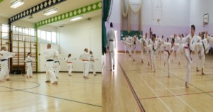 surreykarate banner image