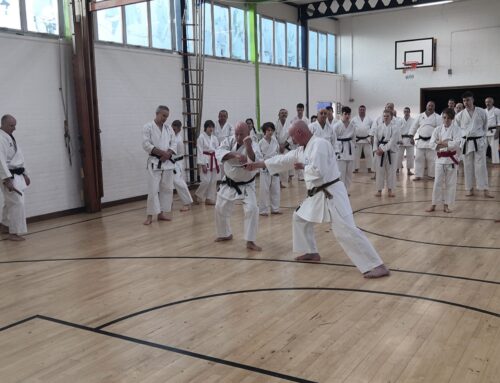 Wado Academy New Year seminar 2022