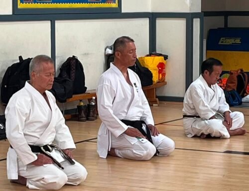 Wado Academy Summer Course 2026