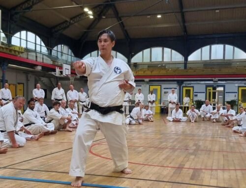Grandmaster H. Otsuka III seminars in Paris & Rome